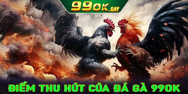 Lý do gì mà sàn cá cược trực tuyến đá gà 99ok được yêu thích đến vậy?